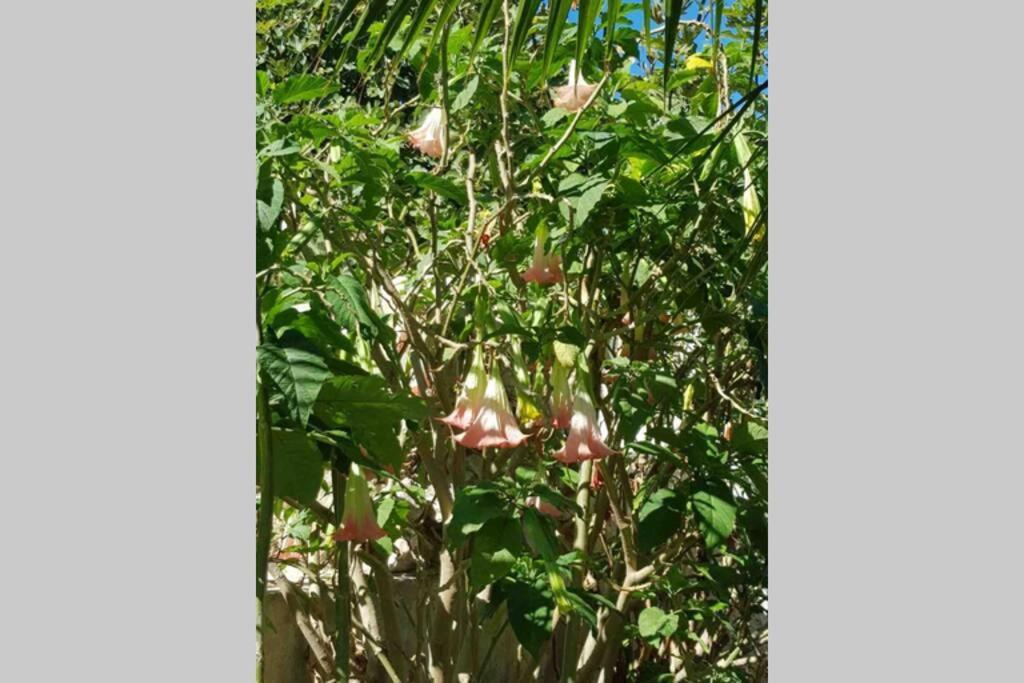 Appartamento Casa Rustica Torremolinos Esterno foto